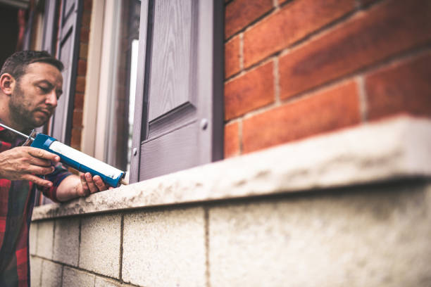 Best Cellulose Insulation  in Maplewood, MO