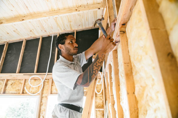 Best Insulation Contractors for Homes  in Maplewood, MO